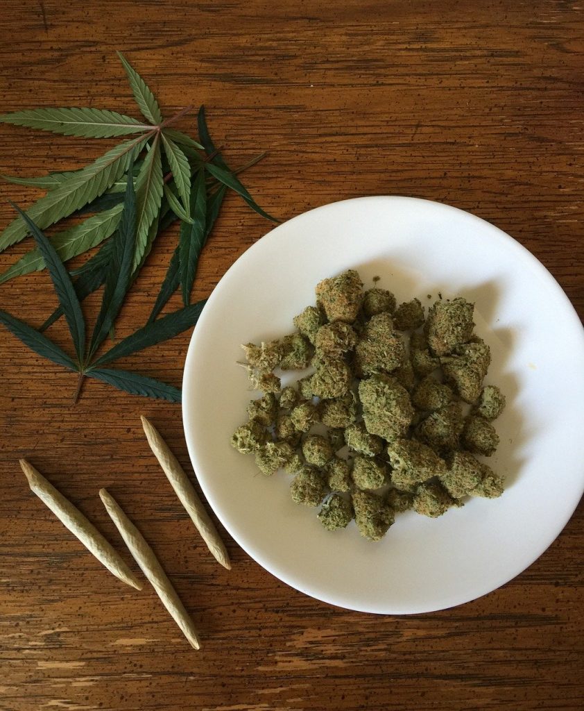 cannabis buds on white plate