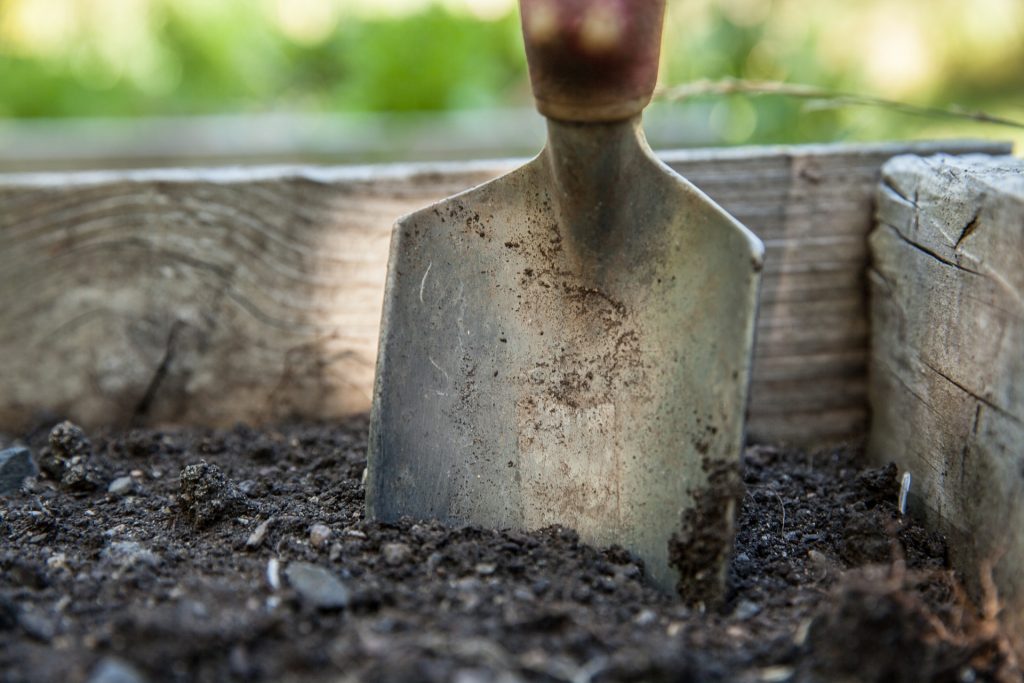 garden spade in soil