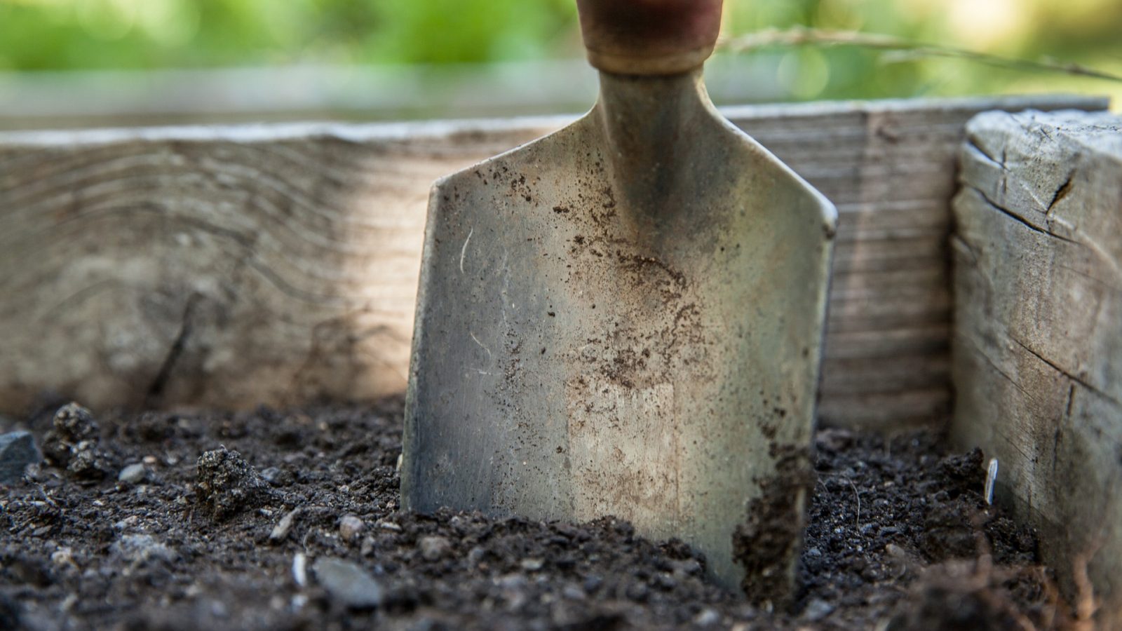 garden spade in soil garden spade in soil