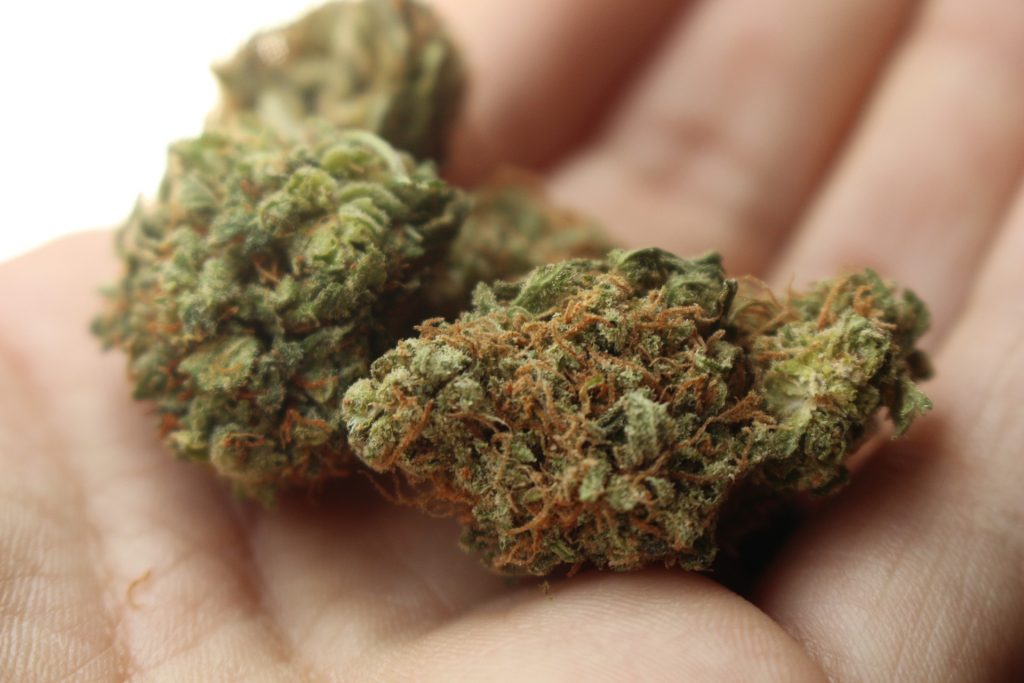 holding weed in palm of hand