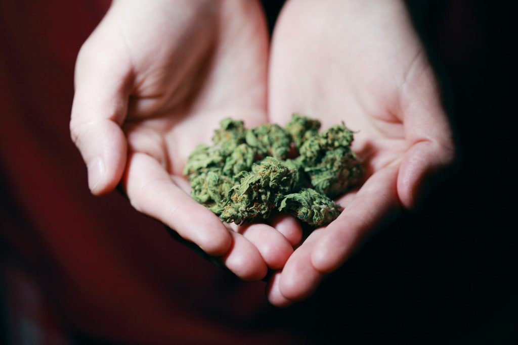 kush-in-close-up-photography