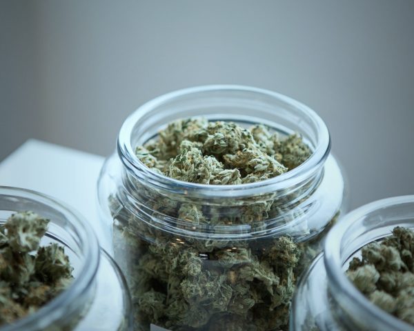 weed buds in jars