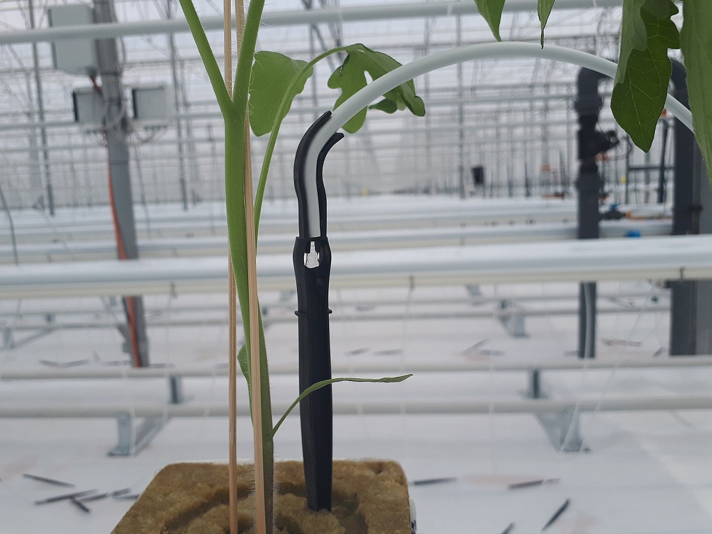 Drip_irrigation_system