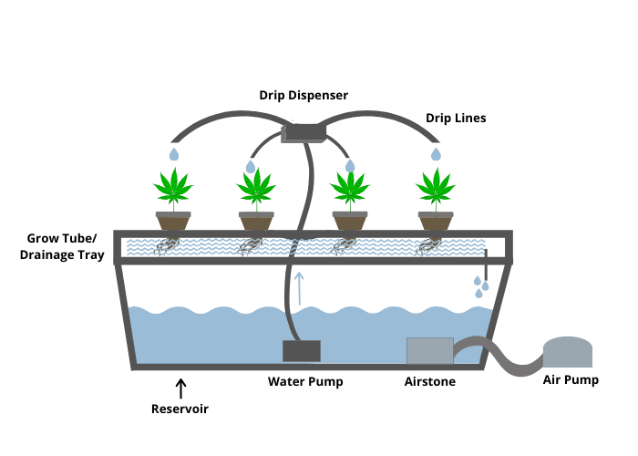 Hydroponic drip system diagram