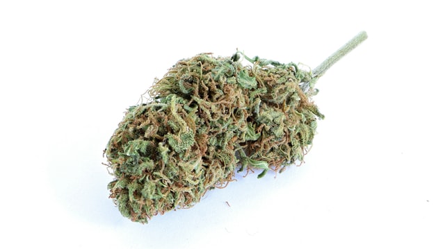 hash bud