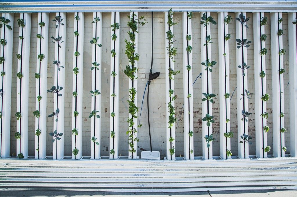 hydroponics vertical growing