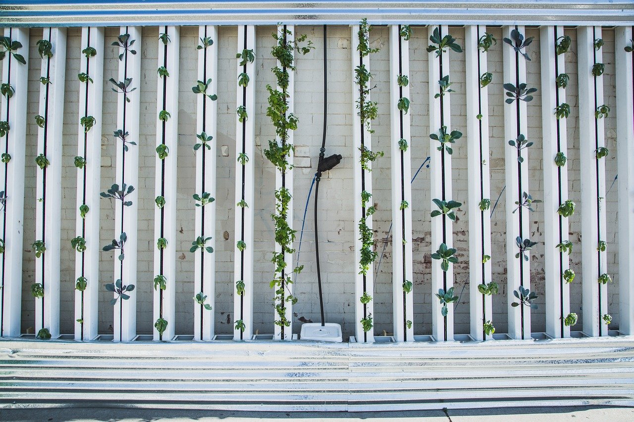 hydroponics vertical growing