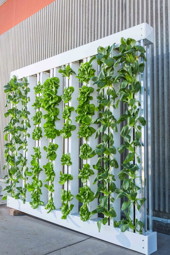vertical-farm