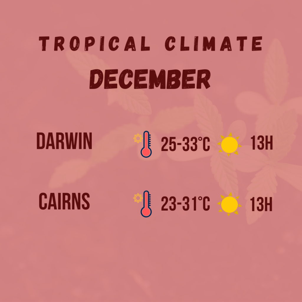 tropical climate diagram 5