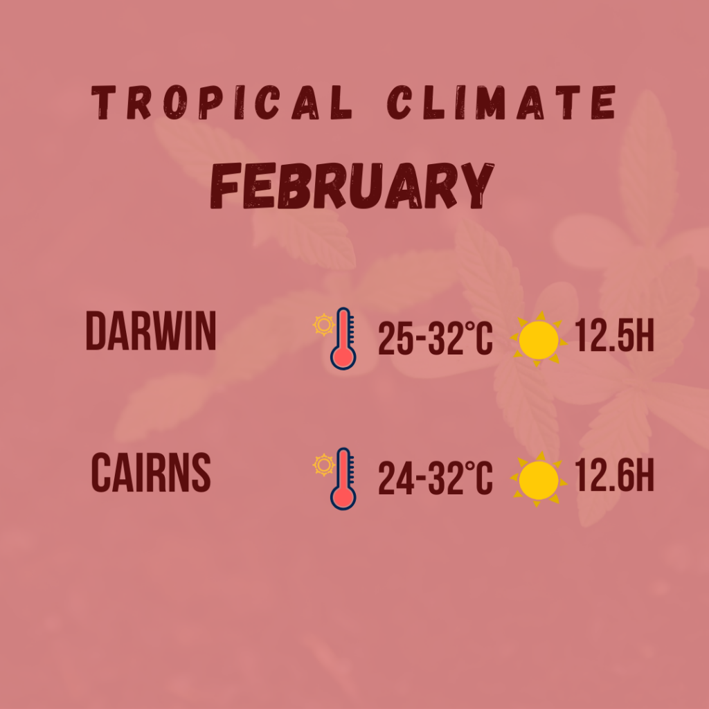 tropical climate diagram 3
