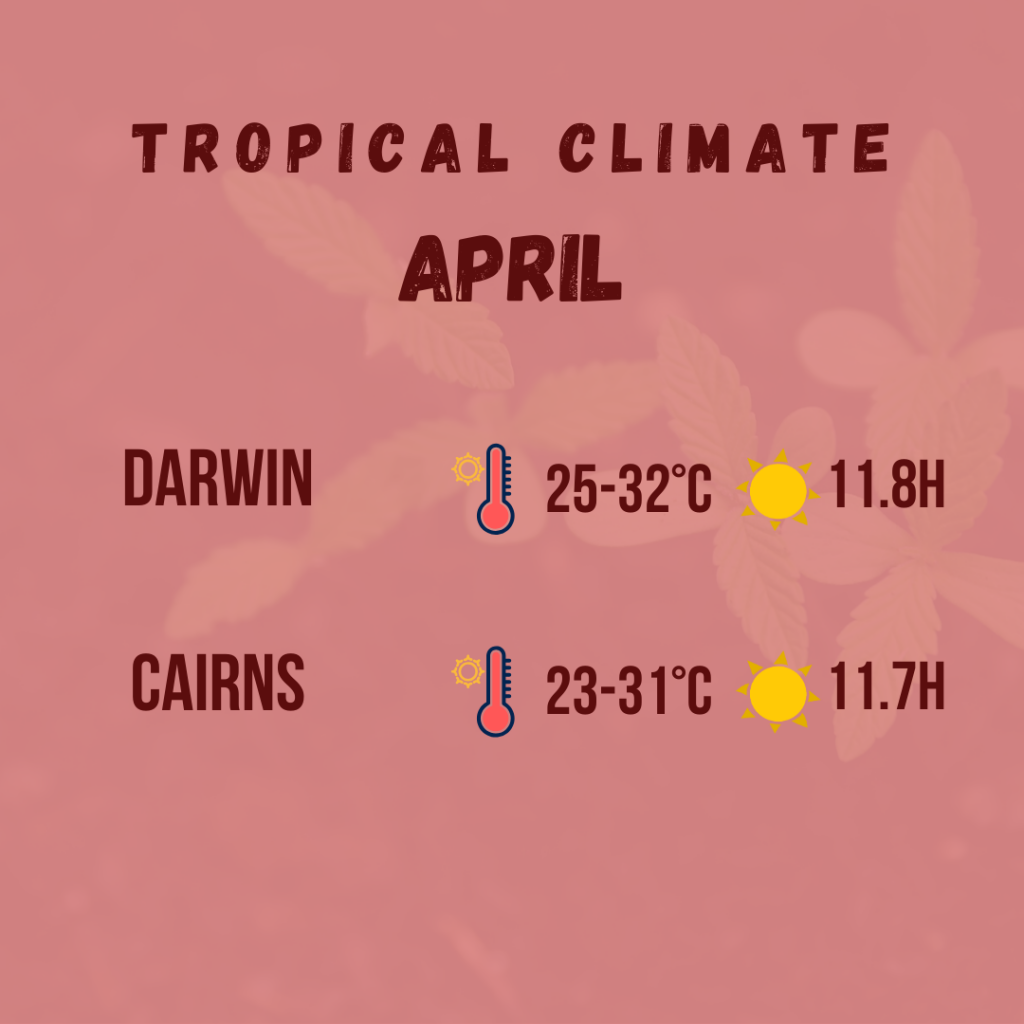 tropical climate diagram