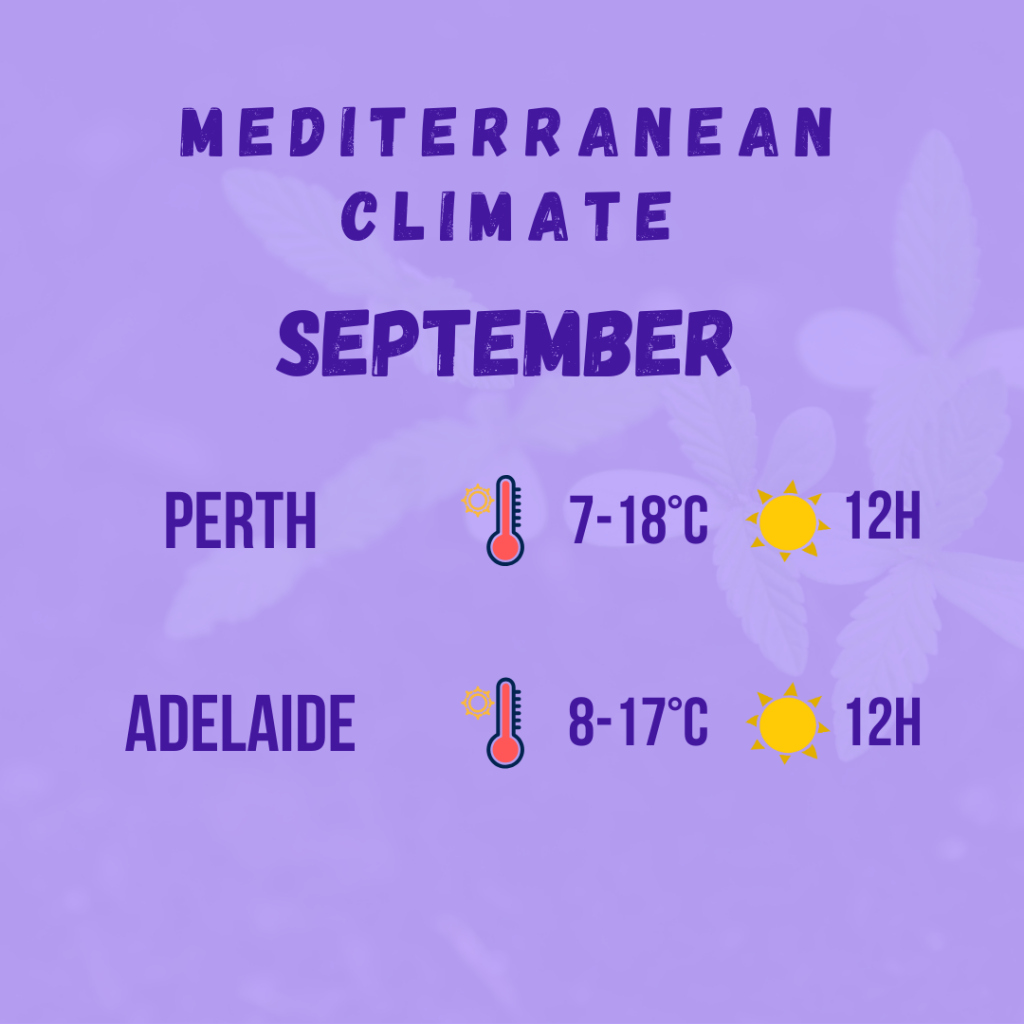 mediterranean climate diagram 8