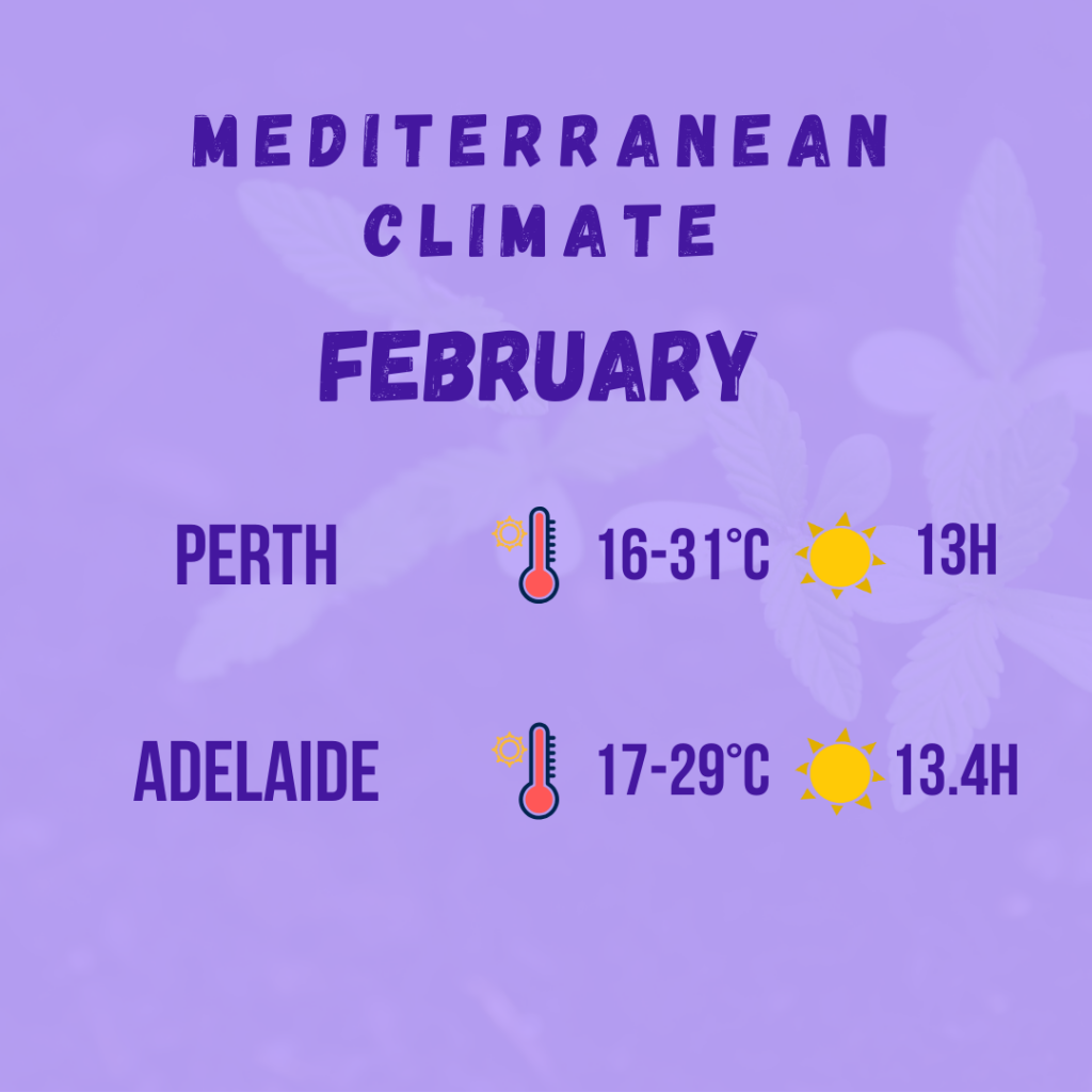 mediterranean climate diagram 3