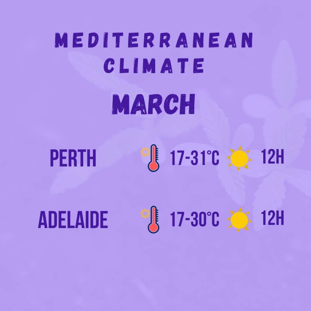 mediterranean climate diagram 2