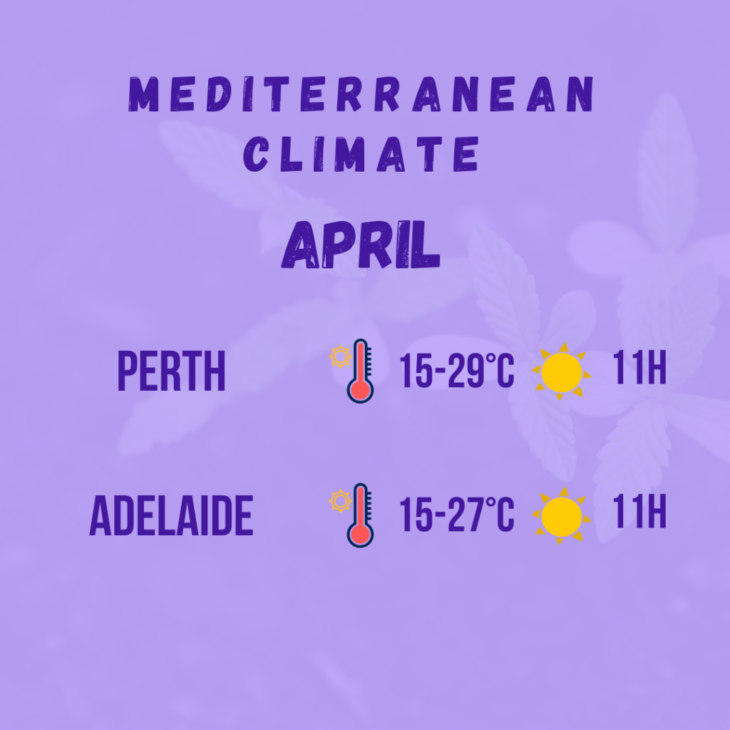 mediterranean climate diagram