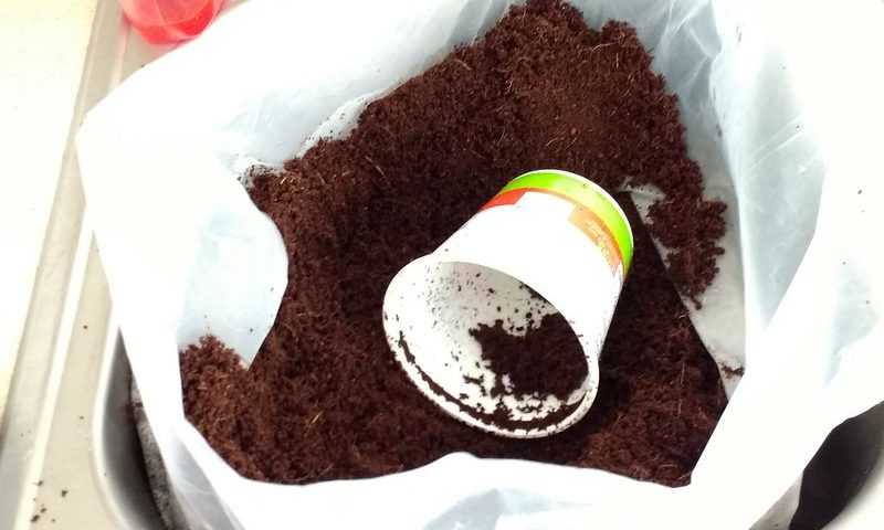 coco coir pith