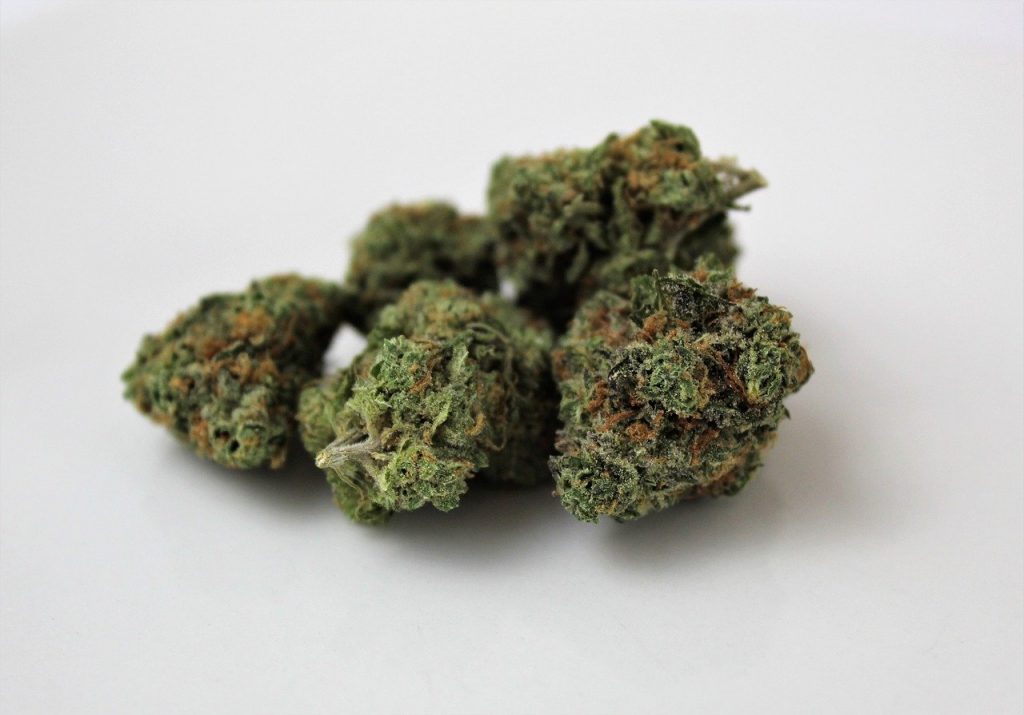 indica bud