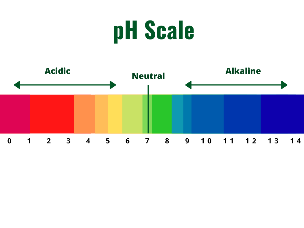 ph scale diagram