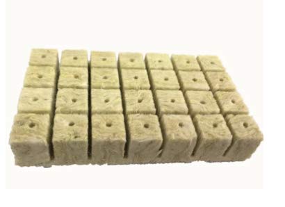 rockwool cubes