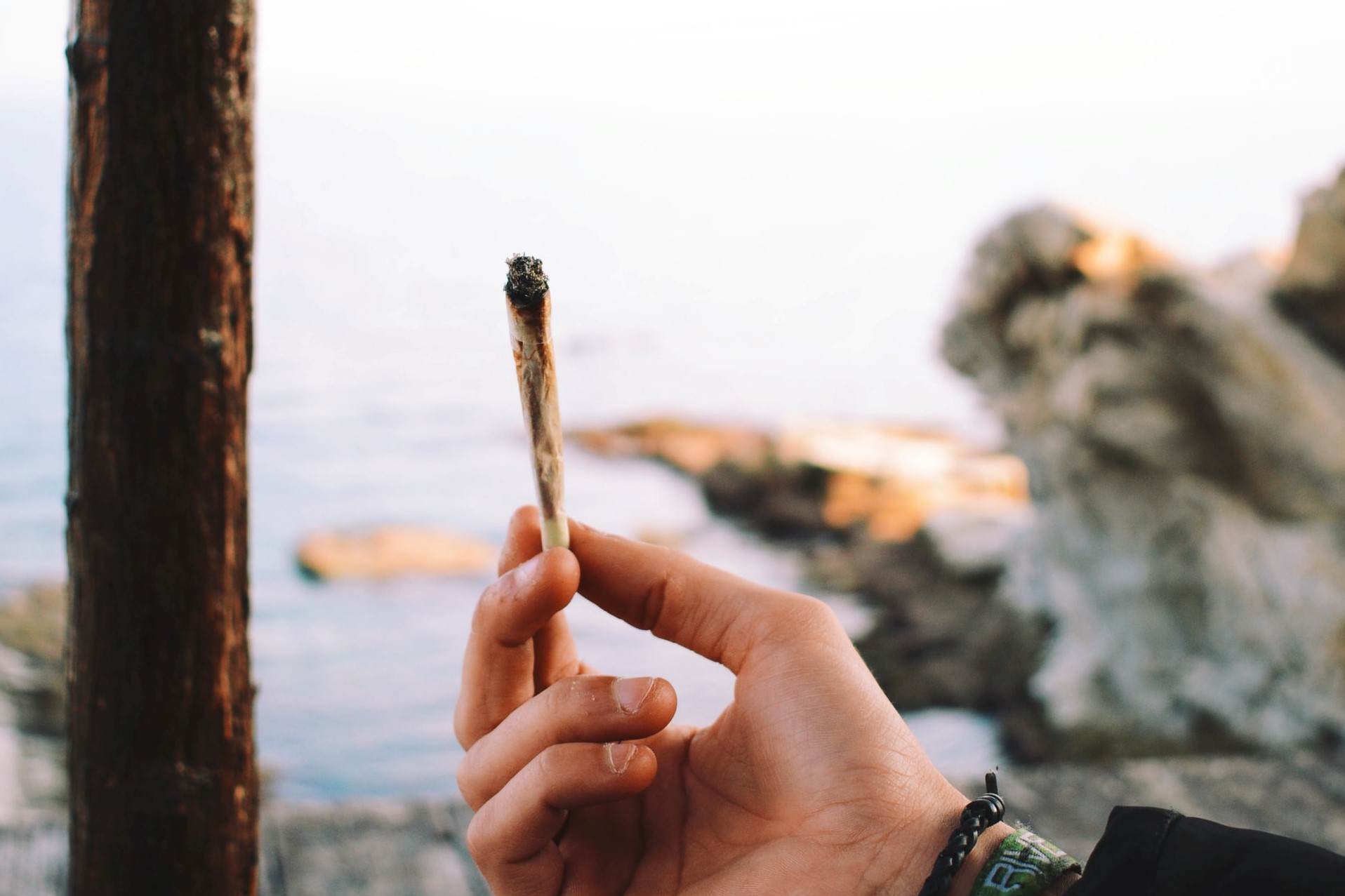 hand holding joint with beach background
