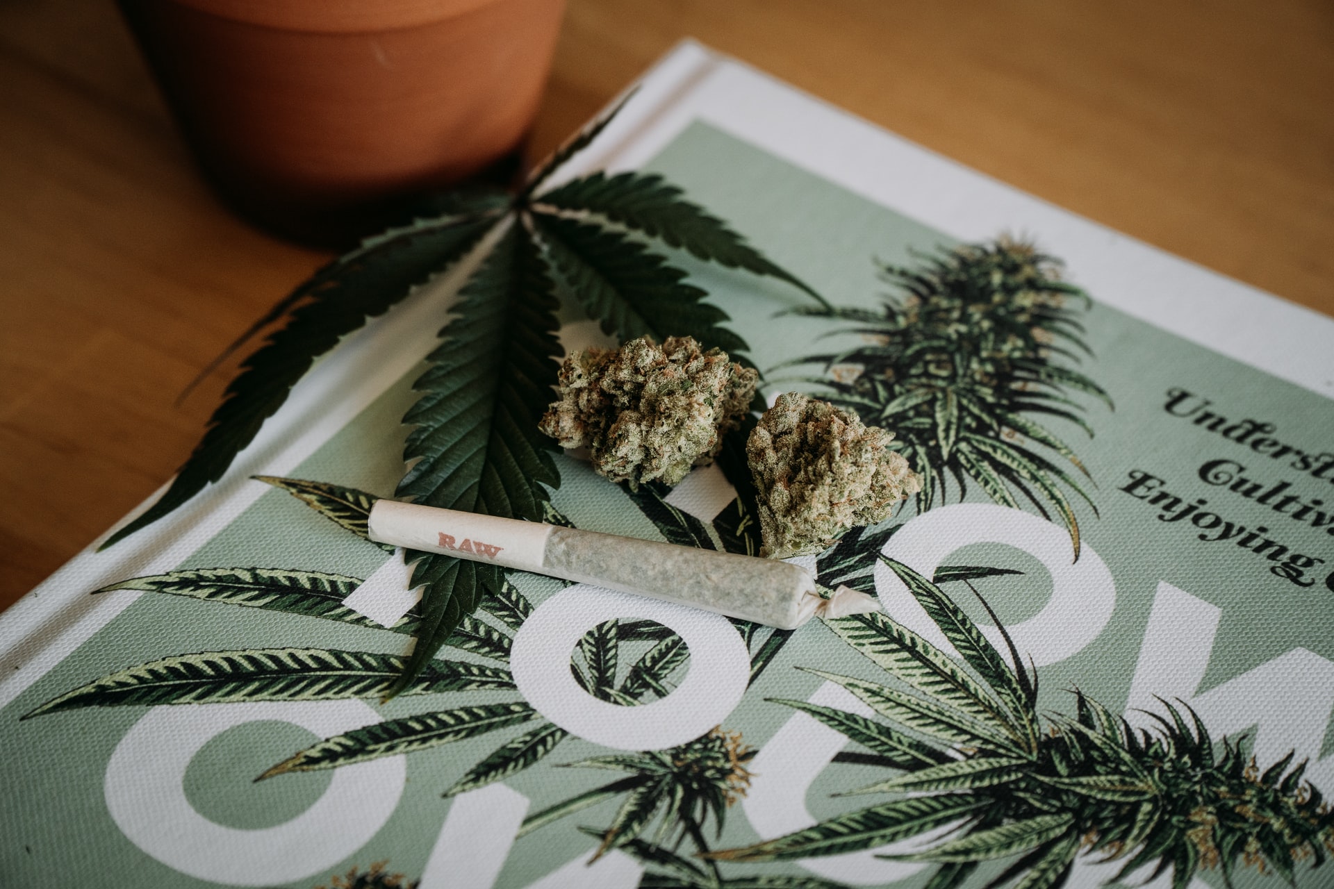 joint and buds sitting on magazine cover