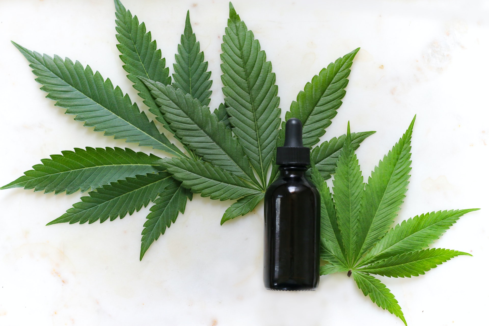 small CBD bottle on 3 cannabis leaves