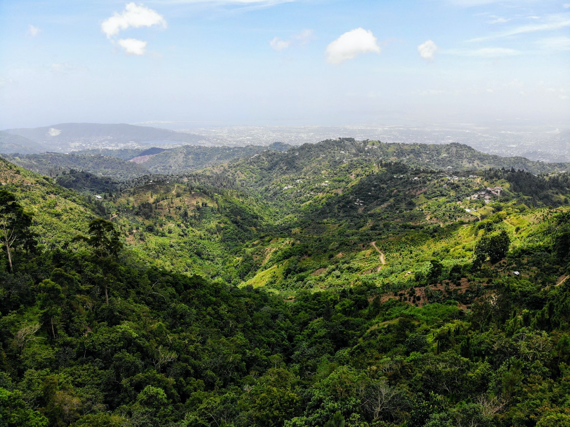 view over rolling green hills