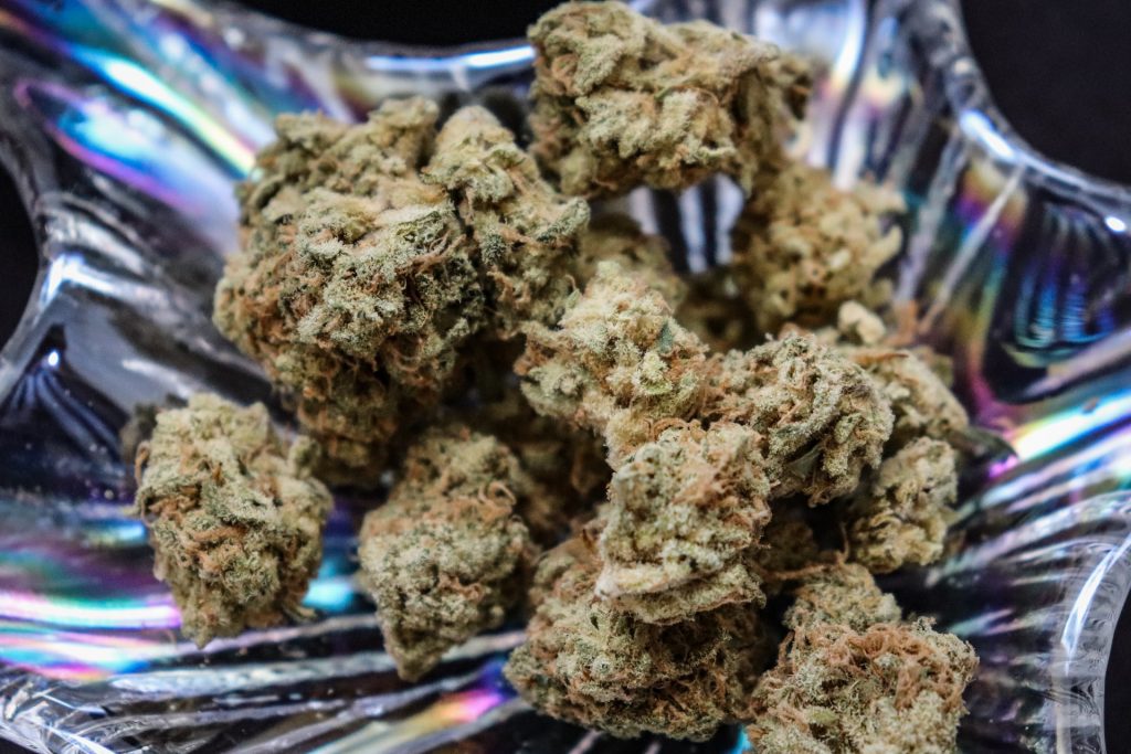 cannabis buds in shiney bowl