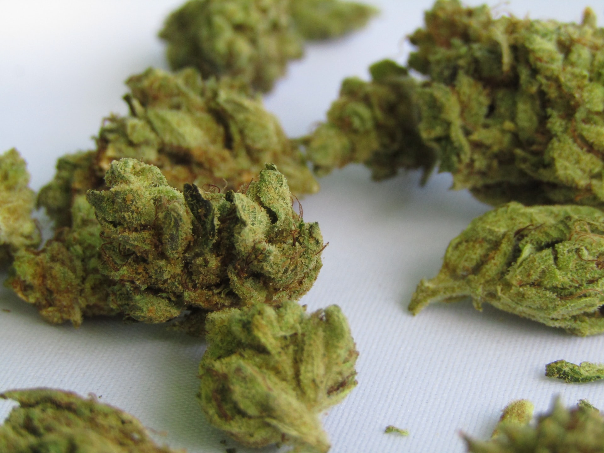 green cannabis buds on white surface